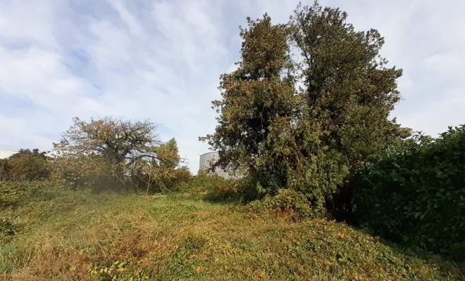 Nettoyage de parcelles à Saint Etienne Sur Chalaronne, Bourg-en-Bresse, 347 Terrassement